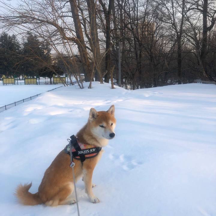 818e935e 3eb7 483b 844a 898ae1368abb 1550796220697