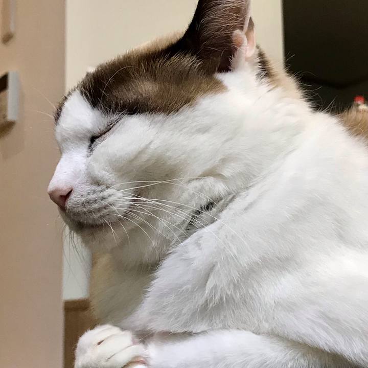 818ebd69 6ad0 4b7c b746 8676cfb5a591 1611013150813