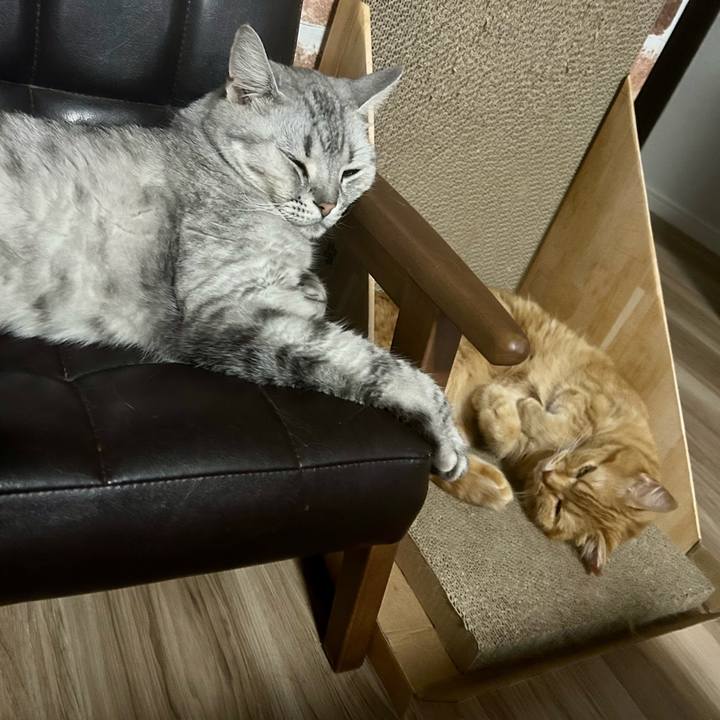 818ee72e afa5 41c6 924d d6ae23b26452 1716027281920