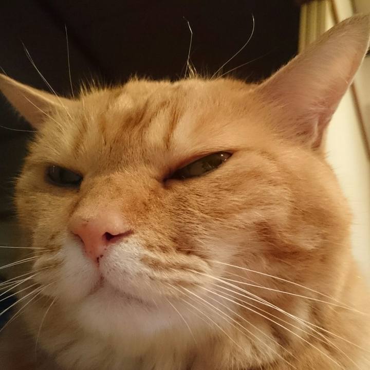 818f132d 207b 48d9 989d 4a8254184f77 1533080836940