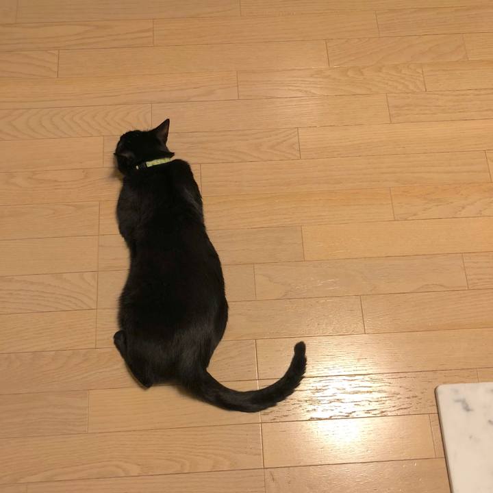 818f1579 b251 414a be5d 066f4f7fadb5 1527250727820