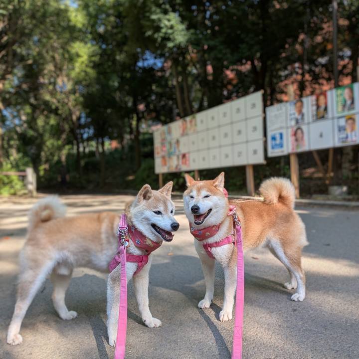 818f5e76 1d82 4b2e a8dd 57af0574a0b2 1753062689039