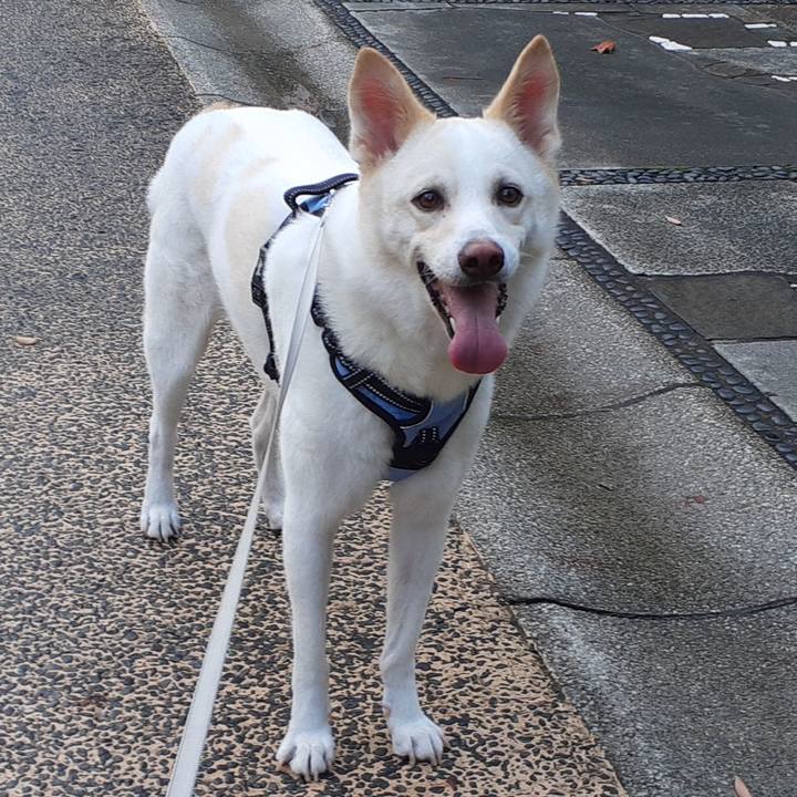 818f639f 9a3d 4200 bec4 9056cf4a1ce4 1663542230110