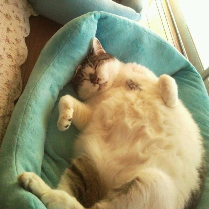 818f9ba8 ae20 44b7 aa79 d1fe3337665c 1719620390784