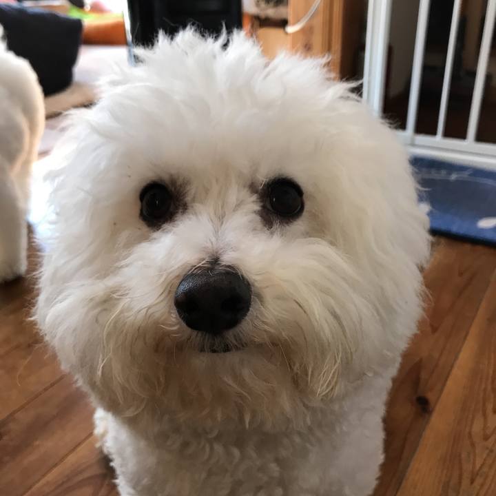 818fa0ec 4bcb 4440 affd f0e0027f09b7 1553390163871