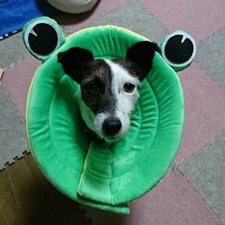 818febb5 0a46 4527 940e 469c0b197ade 1538285900287