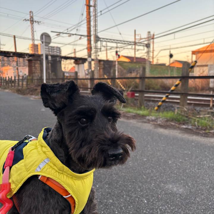 818ff22a 4707 45c6 a65c 0d2675e1f949 1764976822837