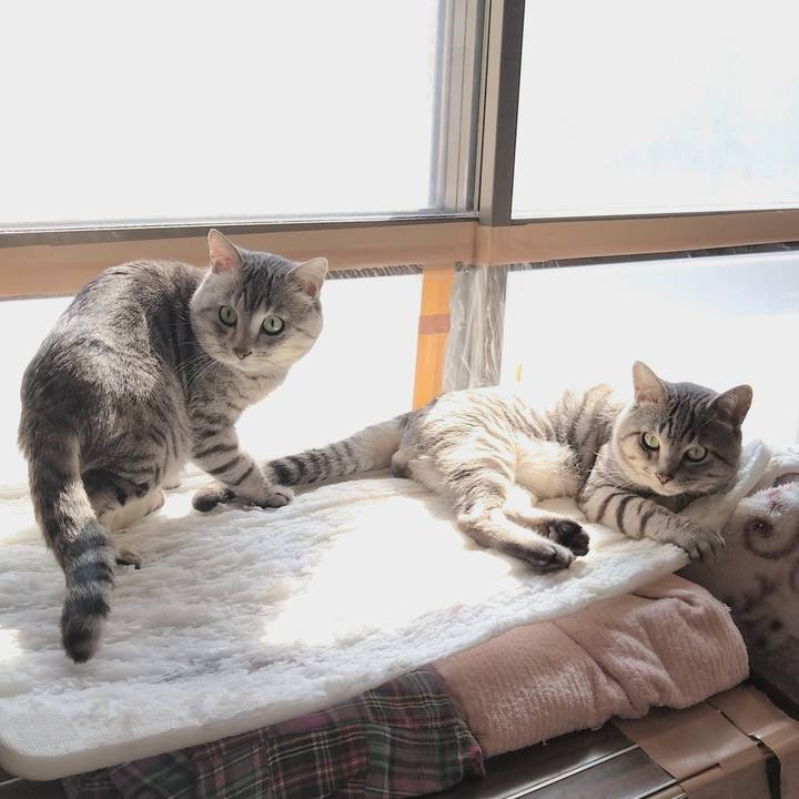 818ff6cf 8ae9 40eb a52e 4d1426eac64f 1646879682812