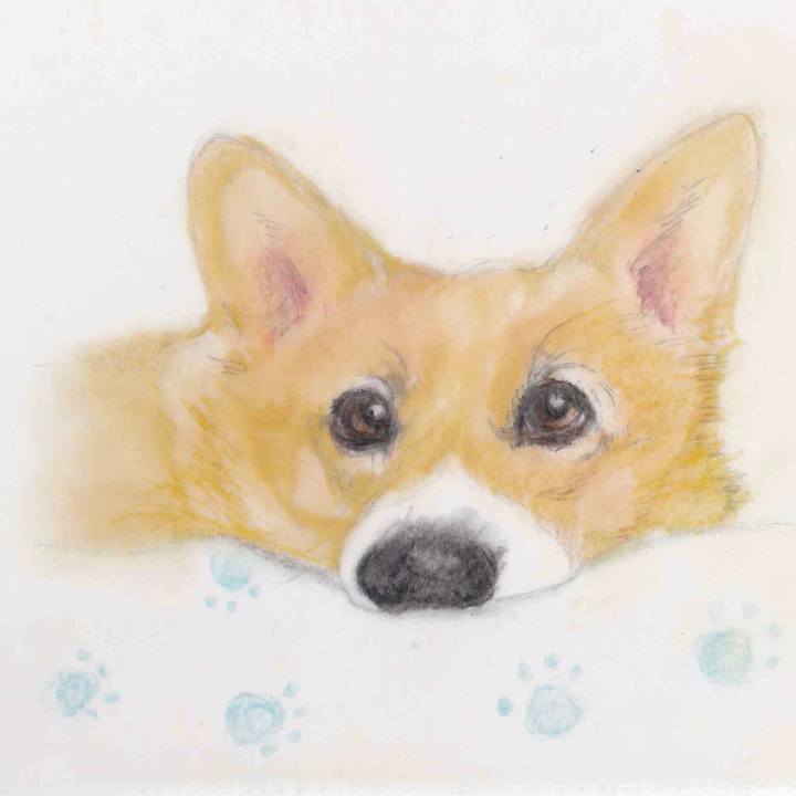 81901473 5372 4ff1 975e daae5f30e2a8 1585842637045