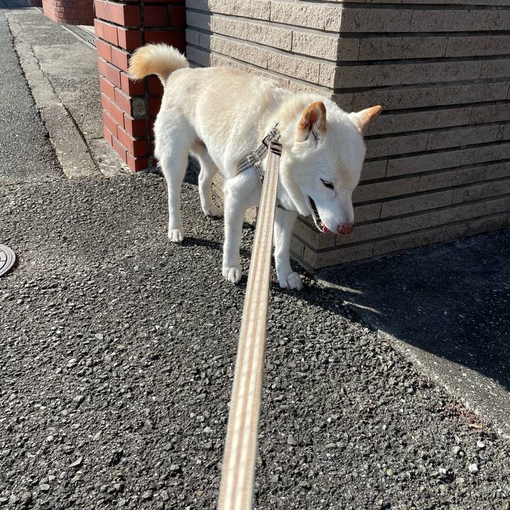 819020da af45 4e9b 9109 07de077df8c9 1636874755272