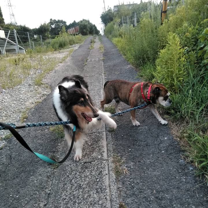 81906a9d d3a3 4d96 b6b3 365e8570ea84 1704722165086