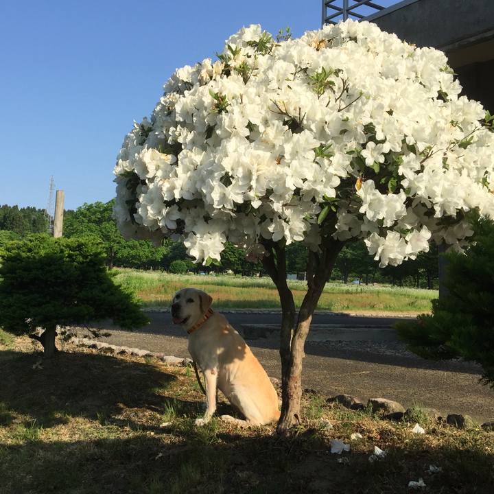 81907184 4f67 41e8 b879 9fc3d15d7562 1591487678191