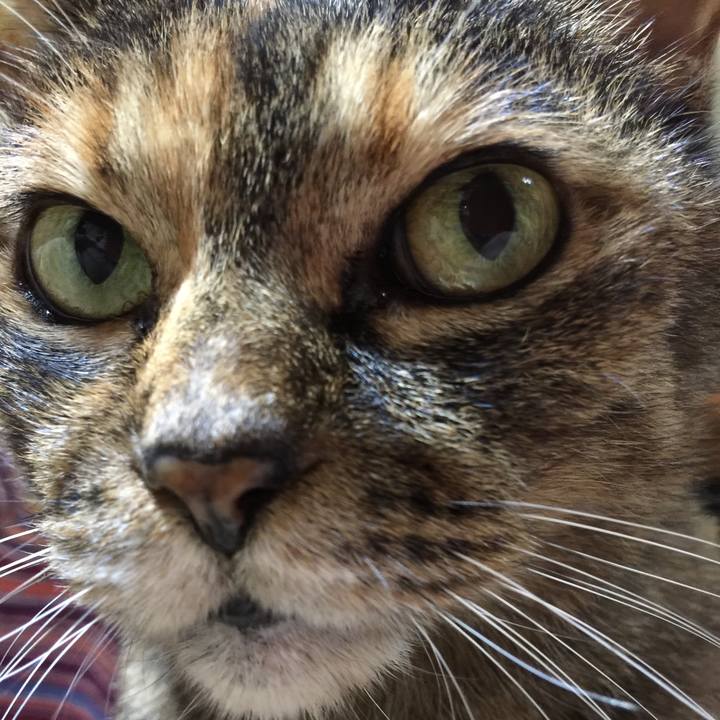 81908edb e676 4c1a ac19 9e8b79aa2145 1581221162491