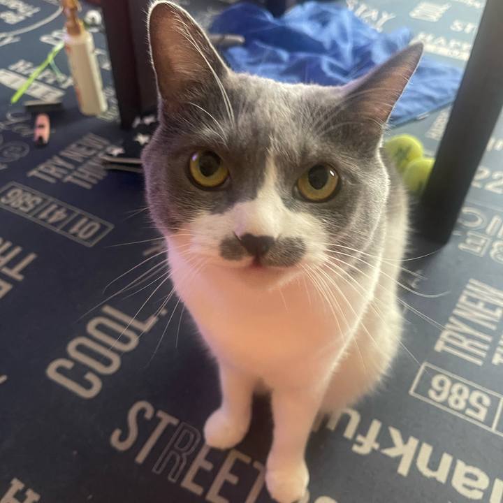 8190c474 de4d 4bf6 a269 b967f2d89ba1 1728180087630