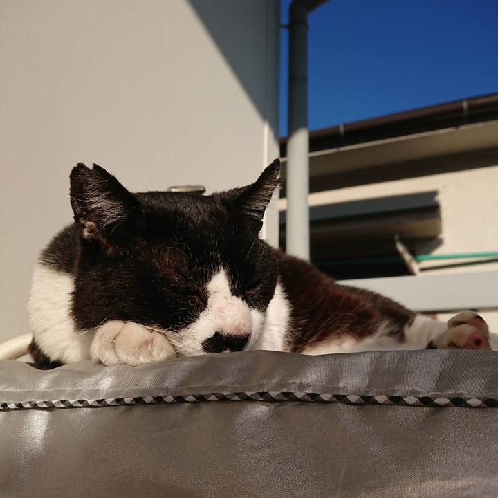 8190cd82 0b33 4825 943b 3535863171d5 1592608371899