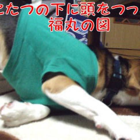 8190d52f 31ae 4933 8290 f5f8b5935fc9 1708816204721