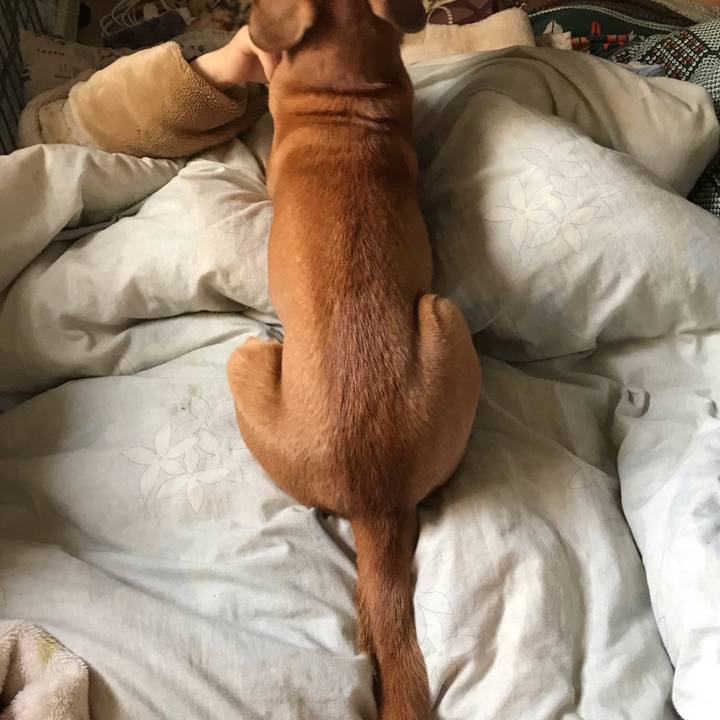 8190eeec c2cb 46df 8d52 5e74930161f3 1513324039782