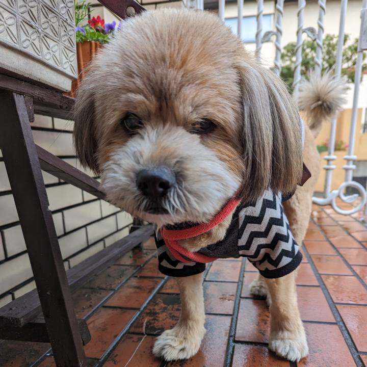 819107f1 3827 45d1 929b d27410d2e4d1 1708905827823