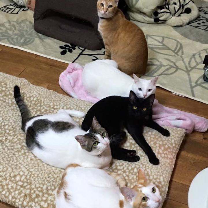 81911155 2181 43fa a206 e2c47d660faa 1521084673678