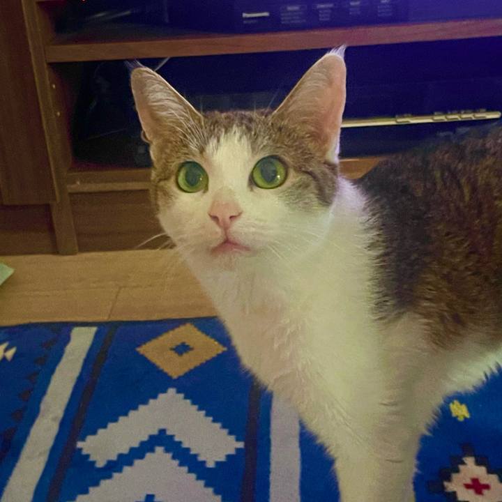 81911b9a f8a7 496b aed5 bef4df95a141 1627937452171