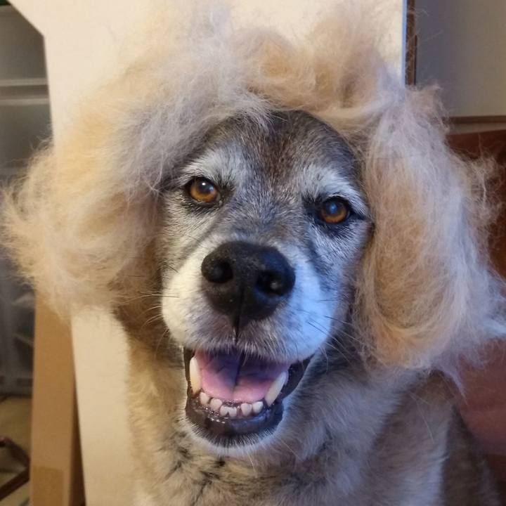 81912822 9d29 4fee aab4 5a4275e7b96e 1675392451071