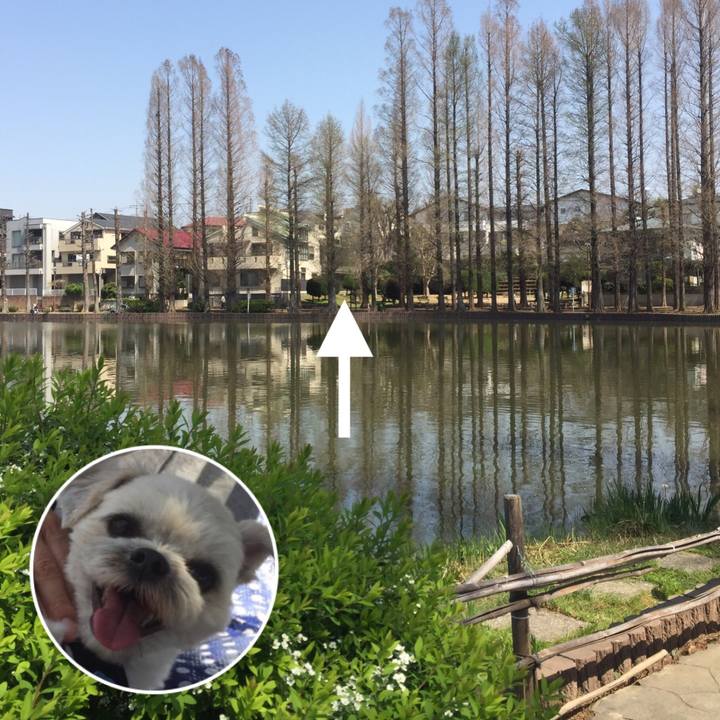 8191342c 568b 4a62 a295 726824b92e4f 1523019632621