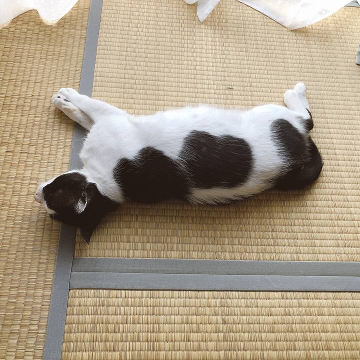 81914d42 544c 49fd a4c5 644934864ec0 1627613494457