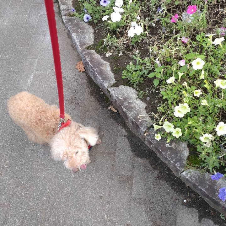 81918ec2 d51b 4635 958d 6168011ea919 1658145420731