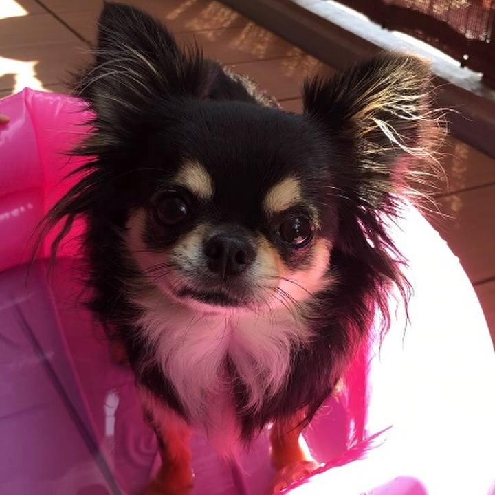 81919845 2e0f 412a b21a d23ed960faa7 1597027844473