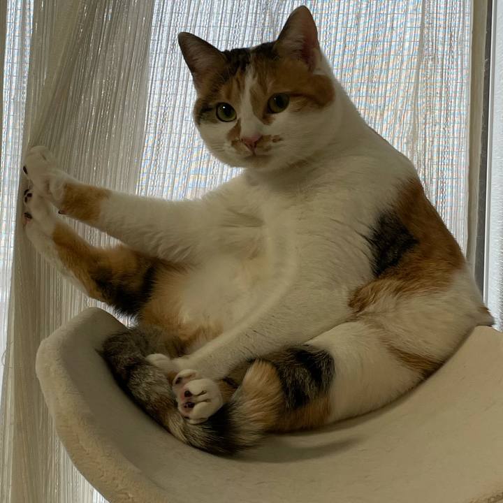 8191b978 64c7 45f1 bcc5 3c0df779c831 1611790522008