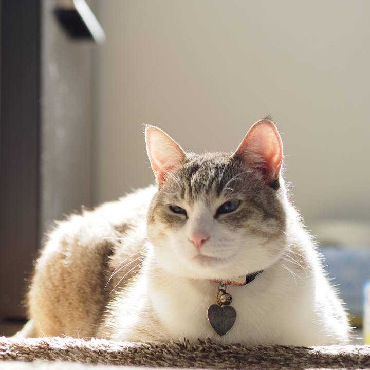 8191c3b6 81b1 4b02 bcb8 5ae3513fe4a3 1651884270077