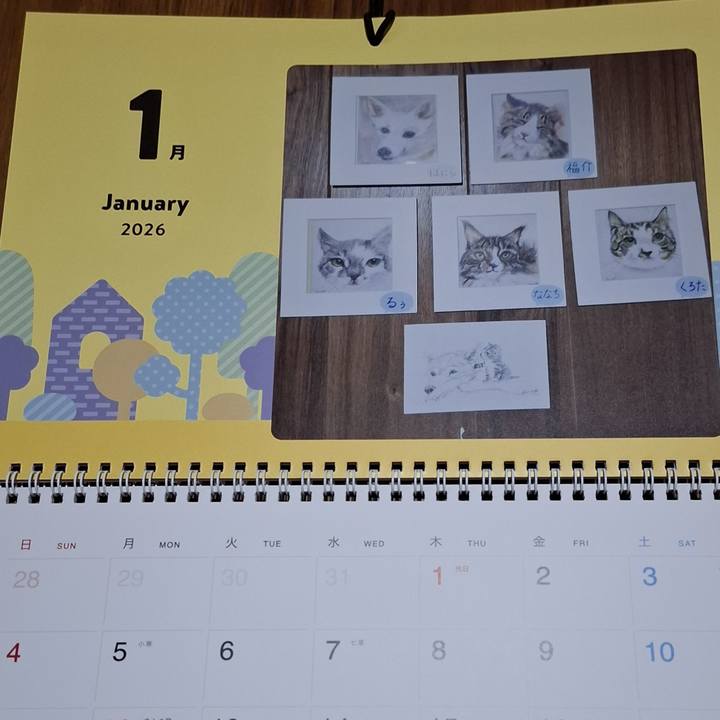 8191d8e8 baef 497b 8c07 ad9901b1007a 1767277285432