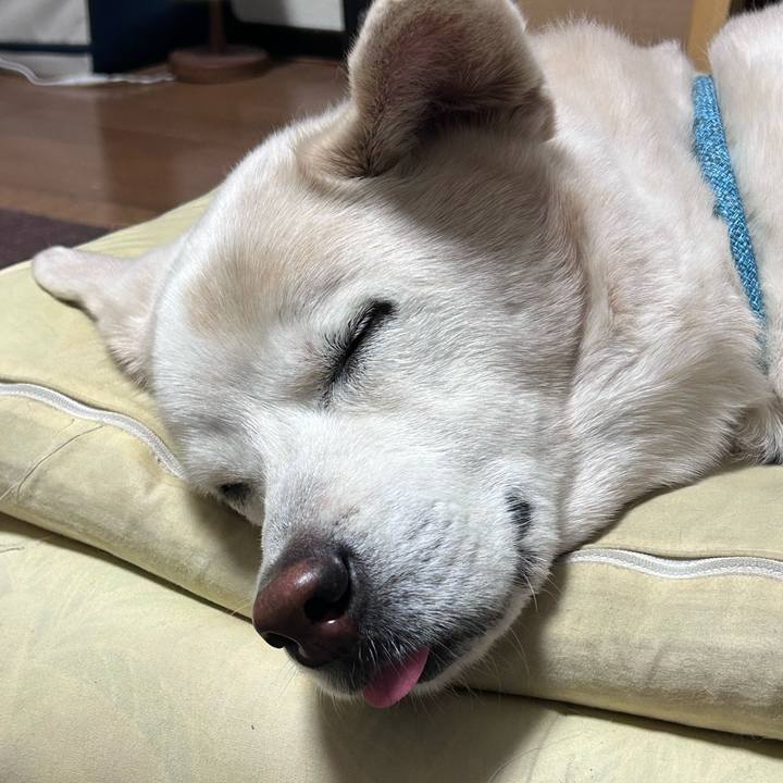 8191f5e6 6fa7 4efe 8f32 2866c5700943 1768044716826