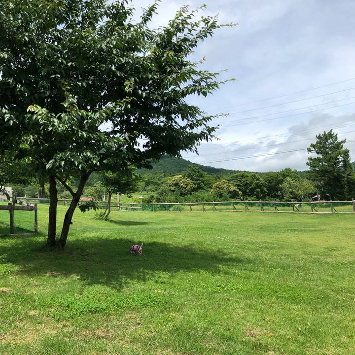 8191f769 7951 4fc0 bd59 66449c2447c8 1530324243277