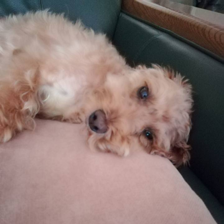 8192857a 8b2d 4e1f 8dd3 9f328aa54ada 1563402105924