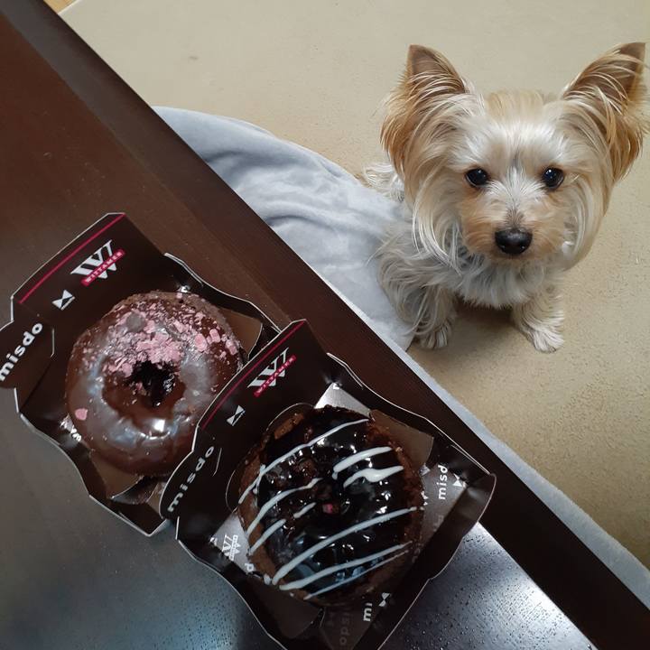 8192fd56 4e5e 4247 b146 e768b006972a 1641794575572