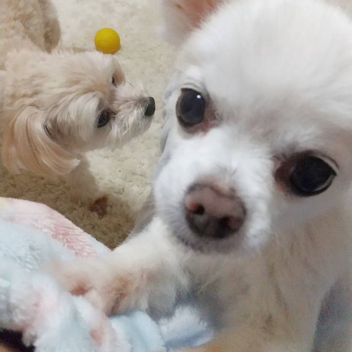 81932e28 36f9 4047 8b2b e7deab004244 1576929501756