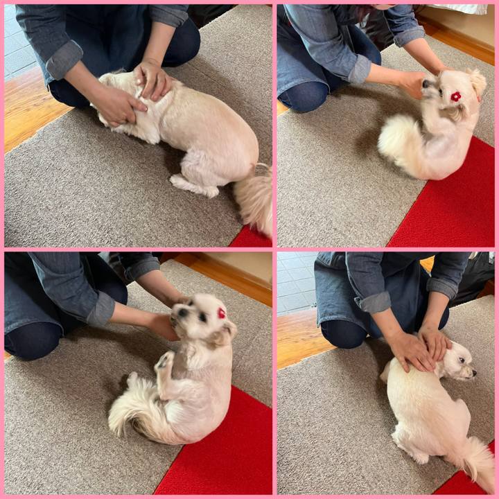 81936487 6a07 4603 a648 56dc9425a3bf 1652767829710