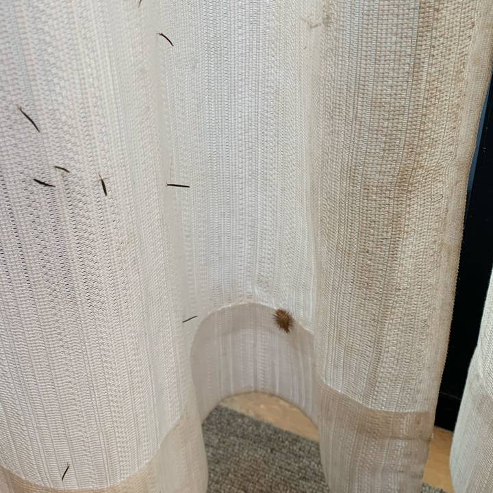 8193662c 2dc2 48cd 955d 09f891d90404 1603921789837