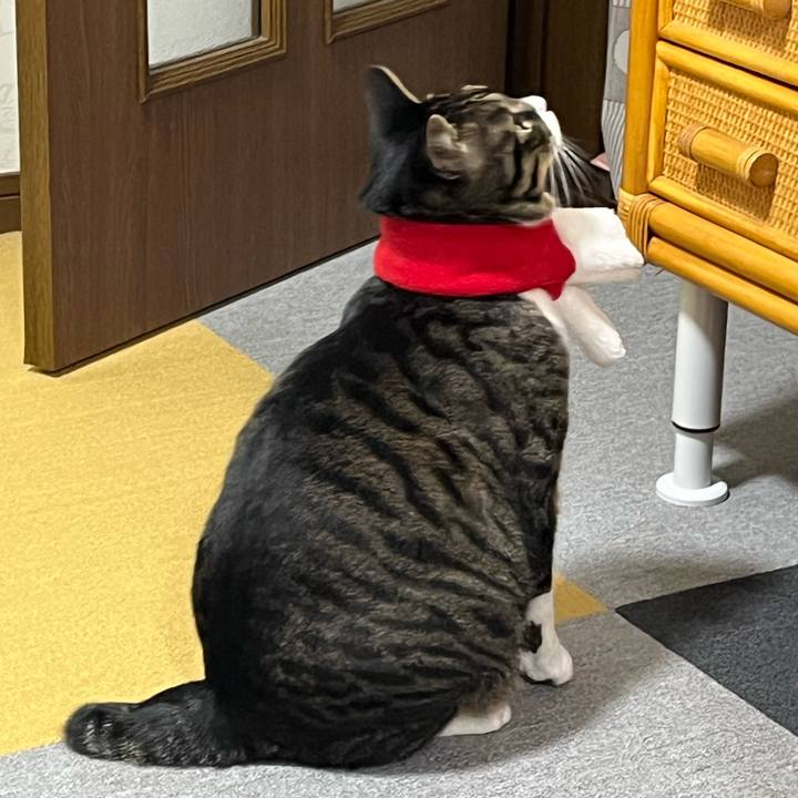 81937c52 4640 401a aa63 ec0d50495b43 1766884012189