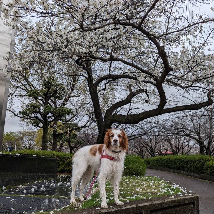 8193d874 9f02 44e3 b0ff e5fb603257f0 1679564808165