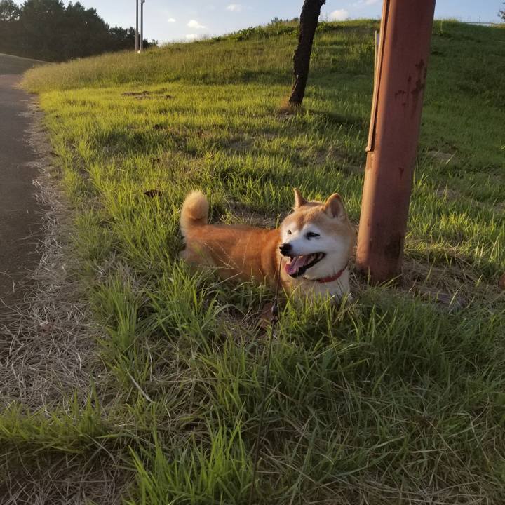 8193e636 17fe 4994 a811 41813686416f 1726042969341