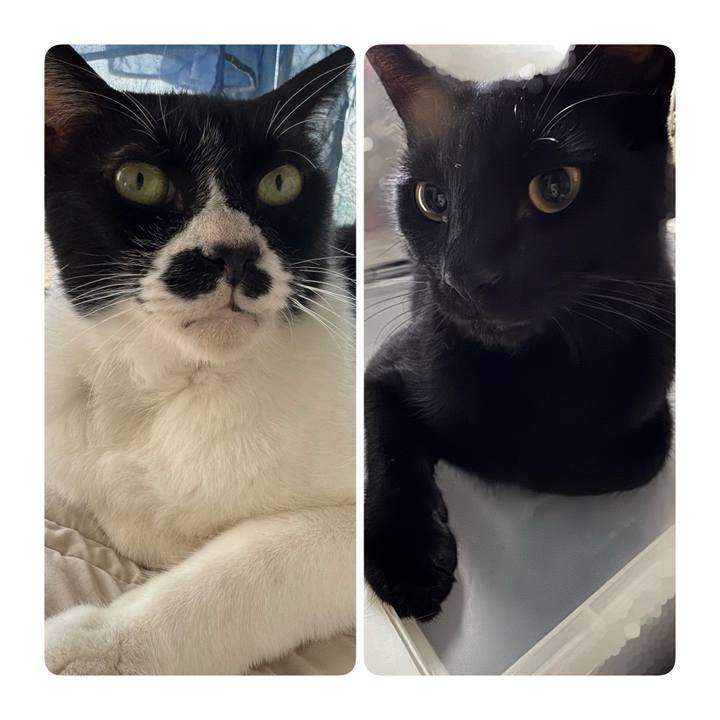 8193ed71 97ea 469e 8fb5 234f0f1cf4ca 1755561441531