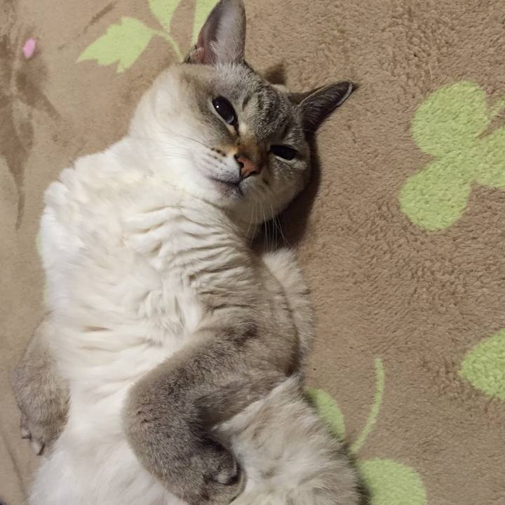 8193f08d fff4 4231 acdb 8e9c4c9b025f 1542797154483