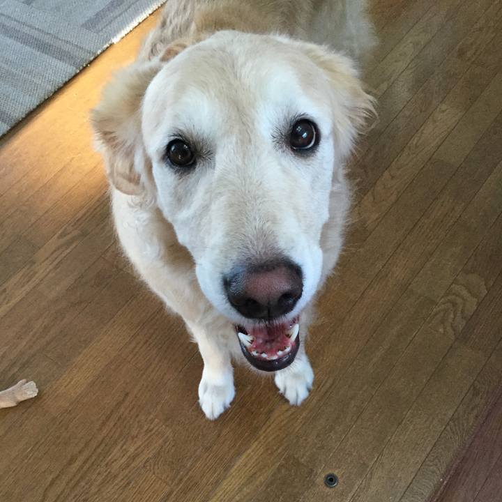 8193fd01 fb67 465a b2b5 77718624872c 1535578329748