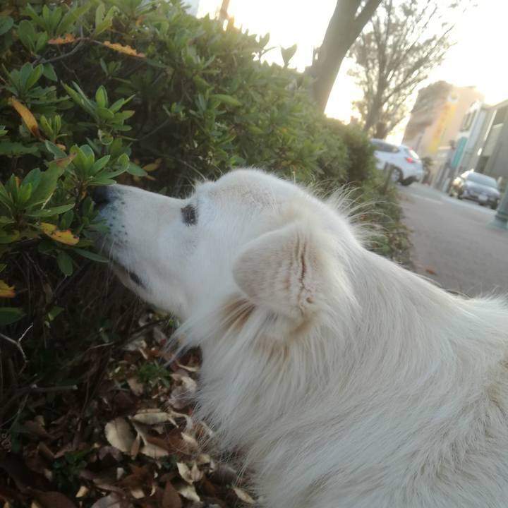 81940af1 3c95 49b9 a571 38d963038bfa 1512204398003