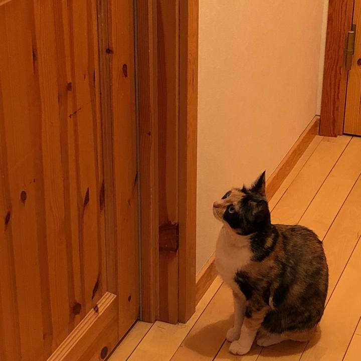 81941055 cb96 4c49 9293 566c1db3cfc5 1524748681376