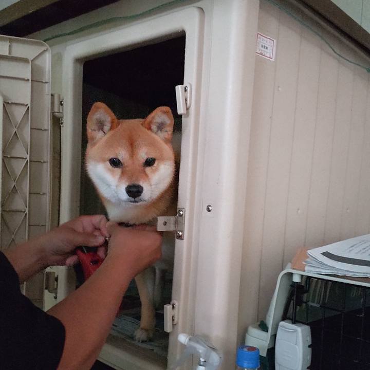 819437eb e4ca 4e53 b8b3 dbc0a18c0bc3 1655793436470