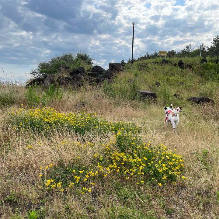 81944cfc 87b9 419e 88cd 8e2921366ef9 1656200355790