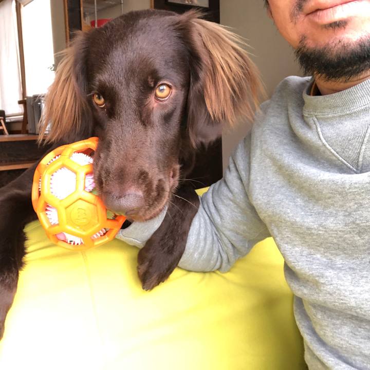 819495fd bc87 41e9 9eb7 6f61c130c1c9 1585609246840